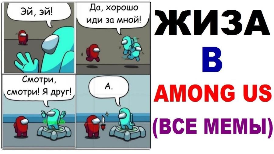 Жиза жизненая
