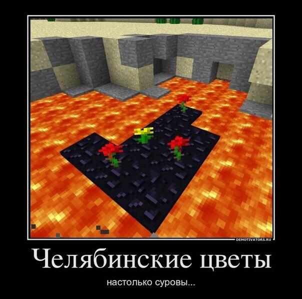 СУРОВАЯ РЕАЛЬНОСТЬ...