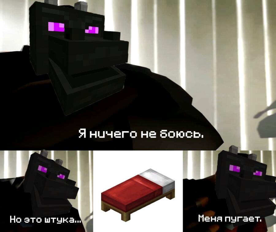 Мем от endermem2011