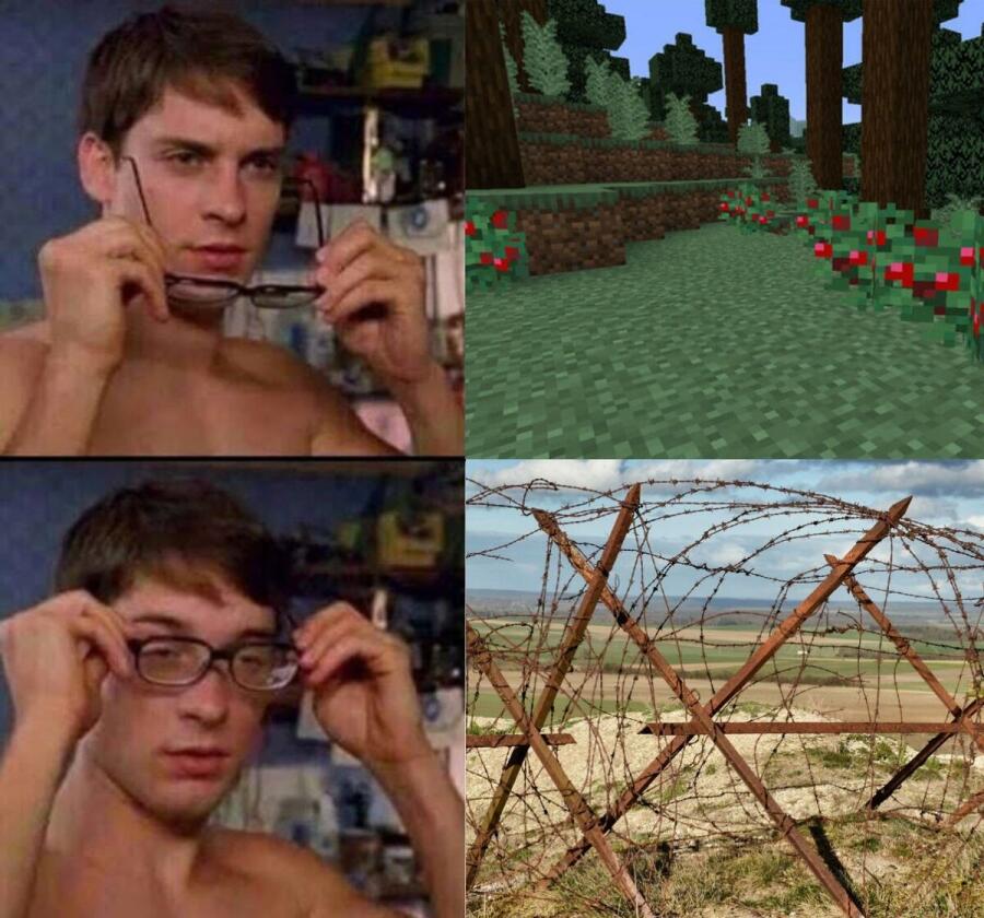 Мем от endermem2011