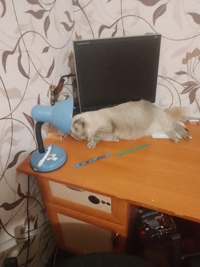 Я и домашнее задание: