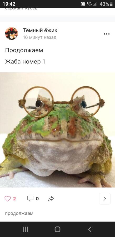 Жаба номер 2