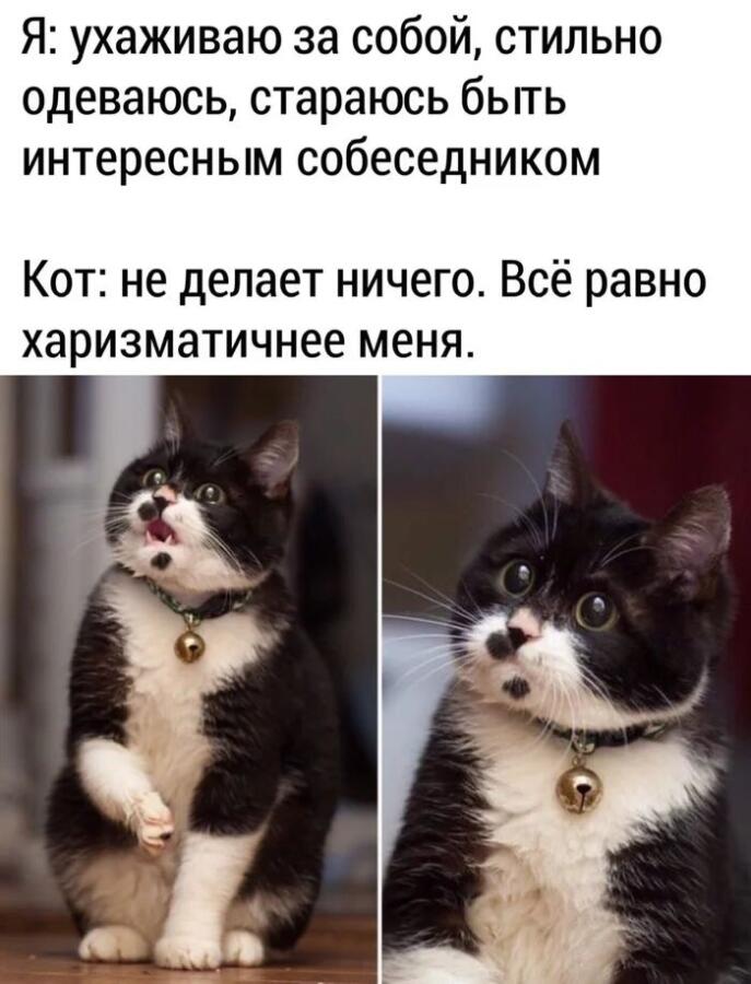 Мем без подписи