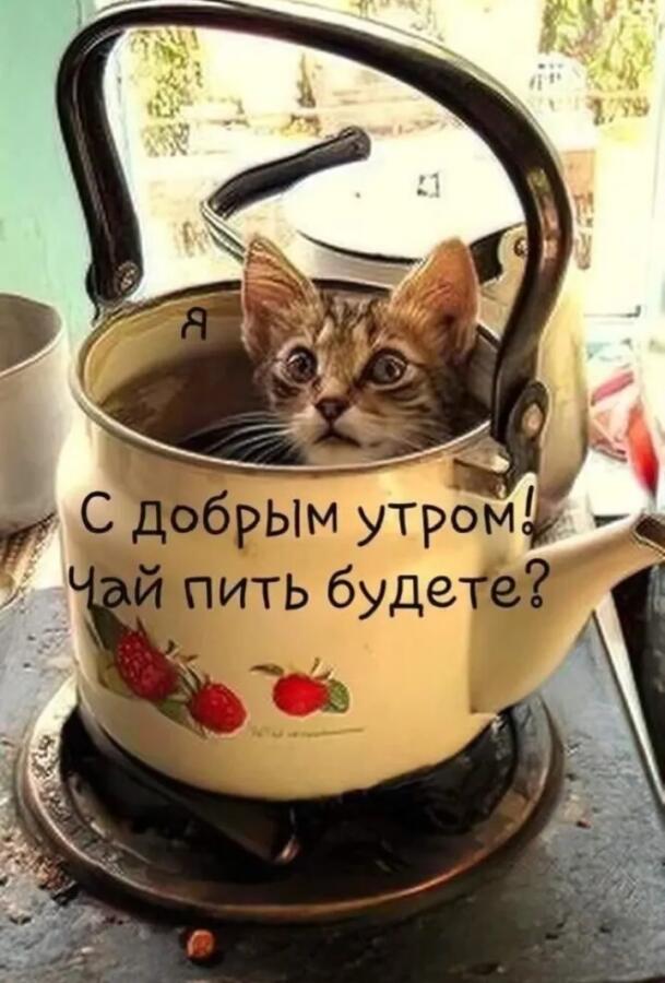 Я не павший всю ночь