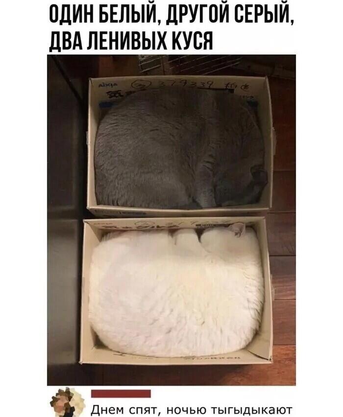 Мем без подписи
