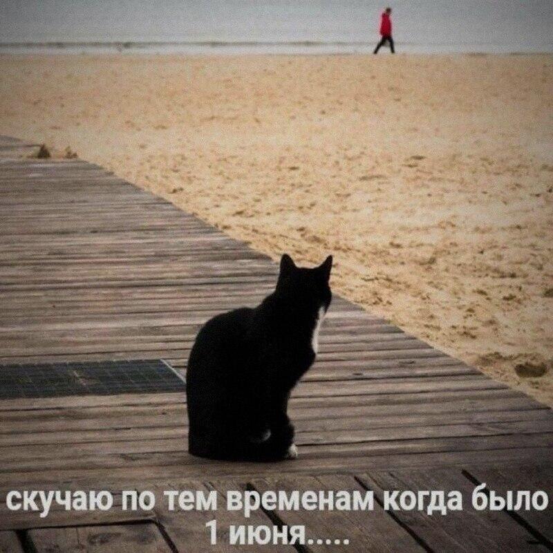 Мем без подписи