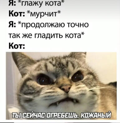 Мем от Шрек на связи