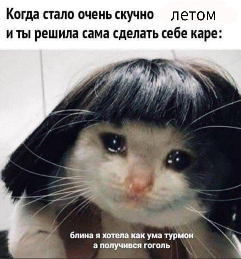 Мем от тартагелишес