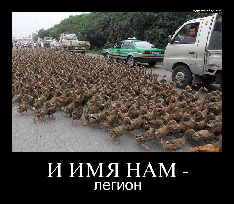 Вперёд спартанцы!