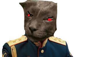Мем без подписи