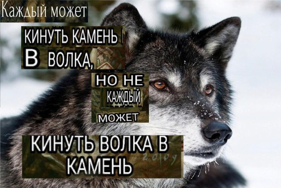 Мем без подписи