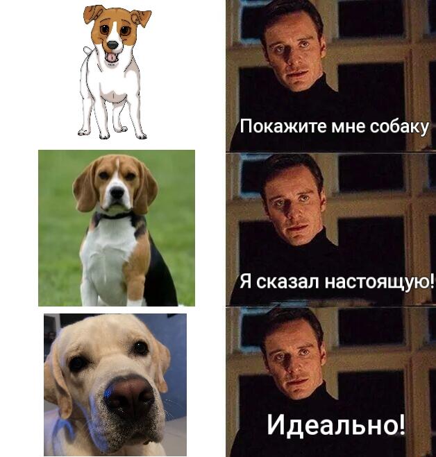 Это Яша