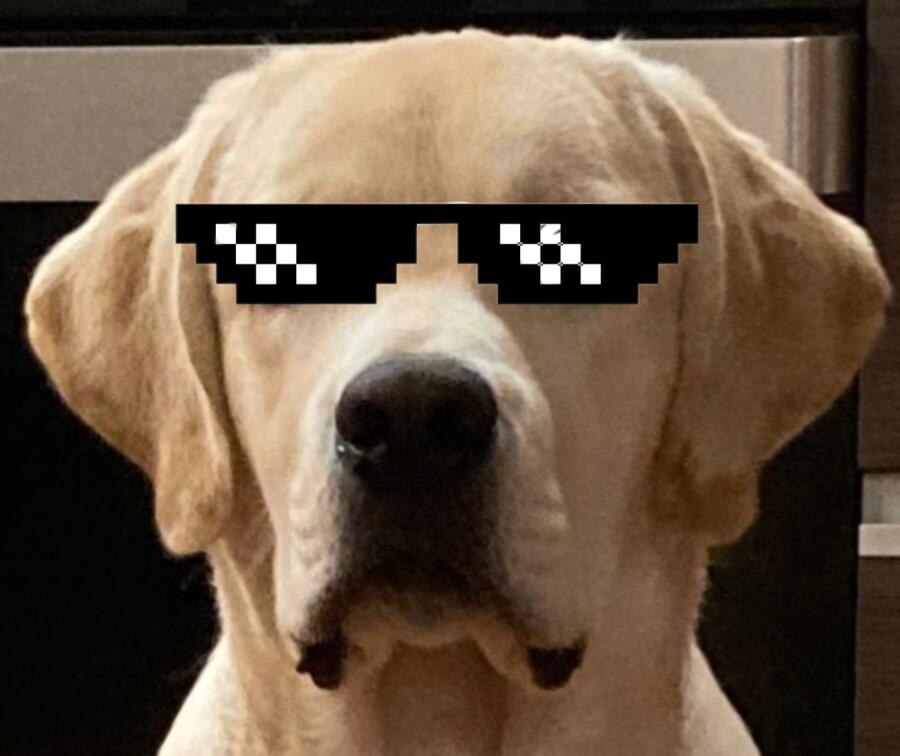 Когда дали косточку