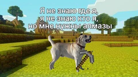 Мем от Яша big_dog