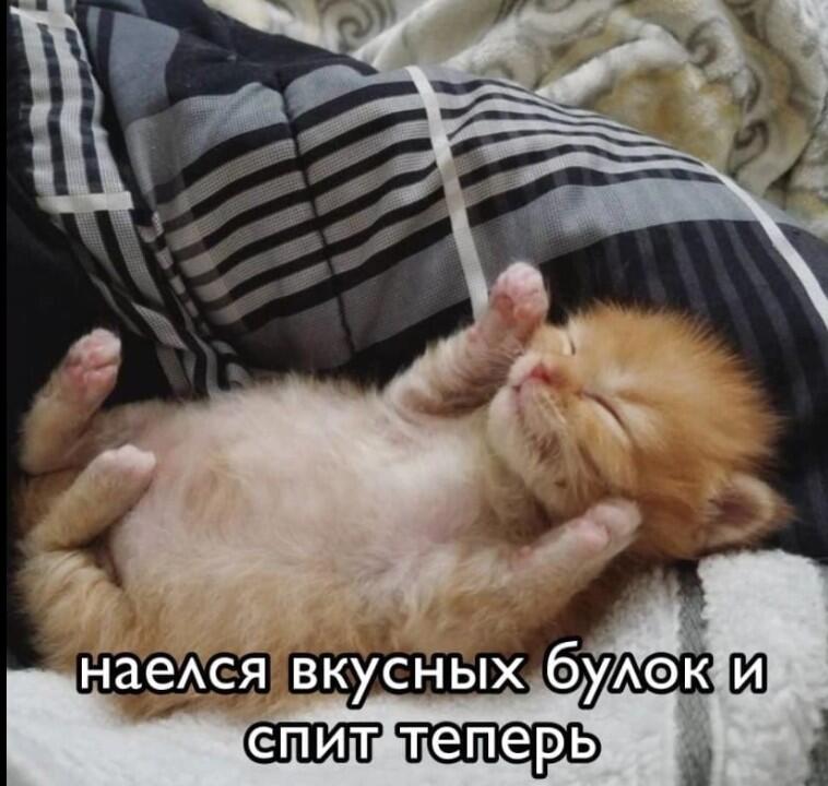 Мем от Игнаттт Мемосборщик
