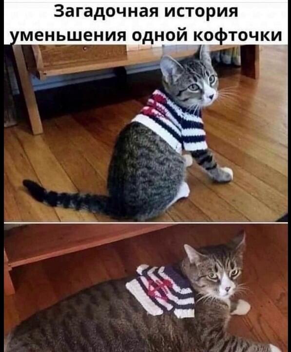 Мем от Игнаттт Мемосборщик