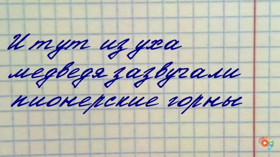 Бедный медведь  Ютуб канал фактория