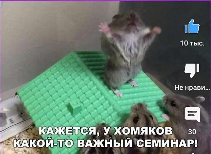 Мем от Игнаттт Мемосборщик
