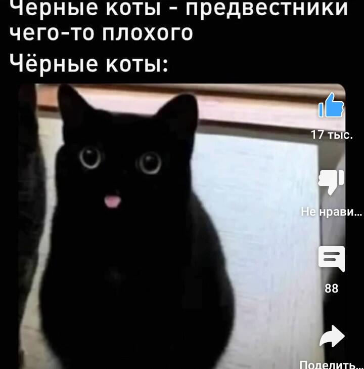 Мем без подписи