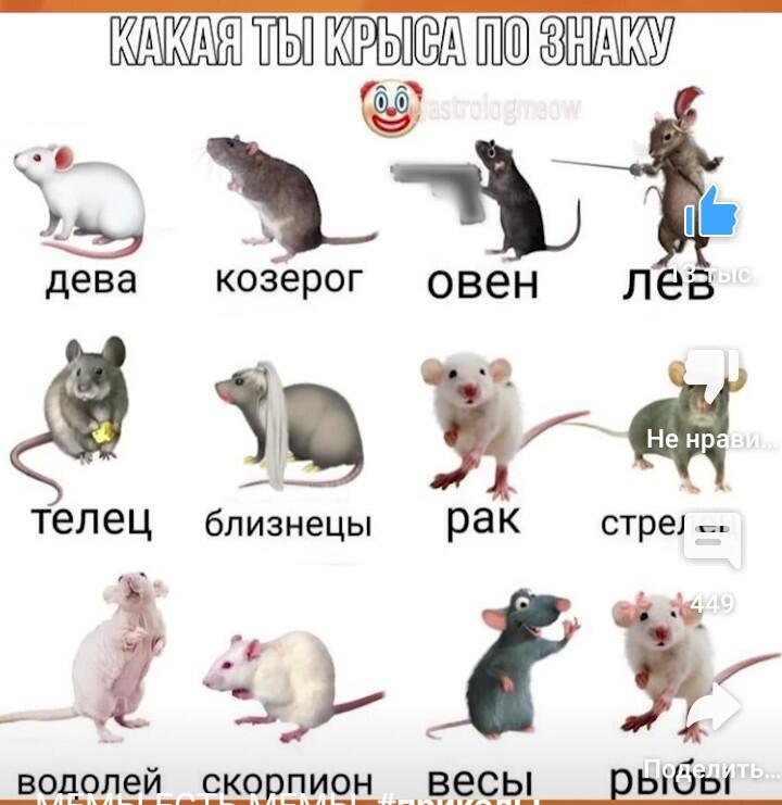 Я водолей 
 
Кстати мышь, которая над словом лев, это Рипичип из книги Хроники Нарнии