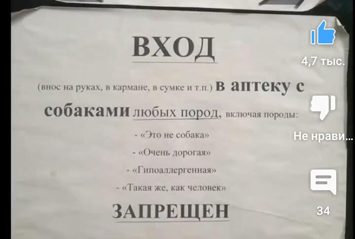 Мем от Игнаттт Мемосборщик