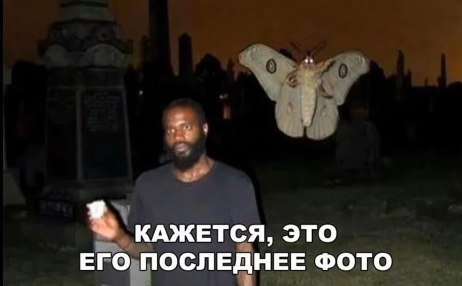 Ну если мотылëк просто ближе к камере, то это всë объясняет, а если нет, то это докозательство существования мутантов