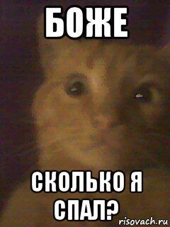 я после каникул