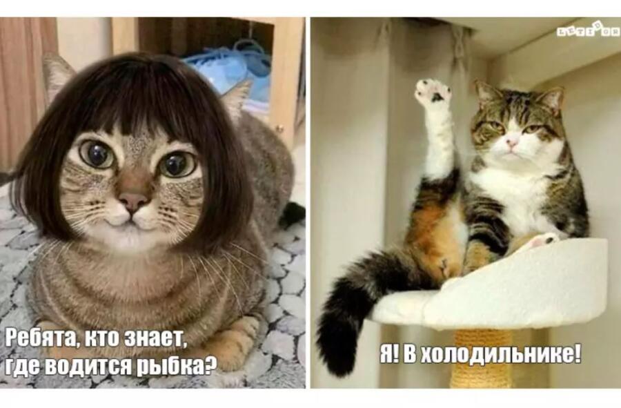 рыбка