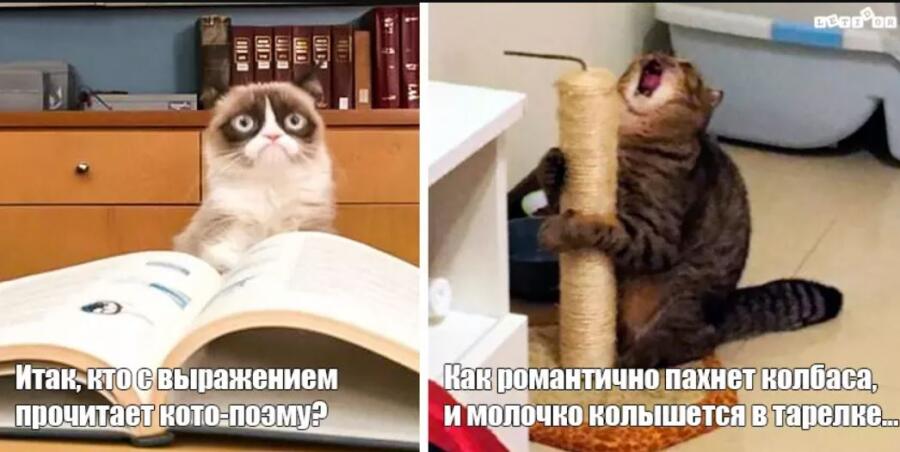 действительно . трудно не согласится
