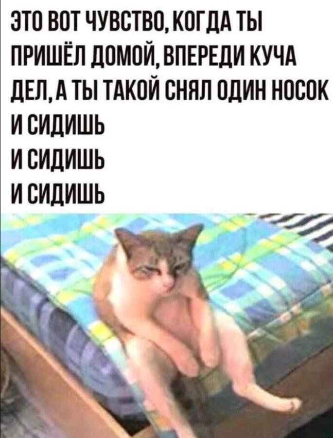 Мем от MLP_LOVE