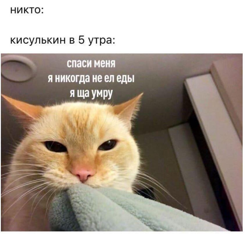 ииии