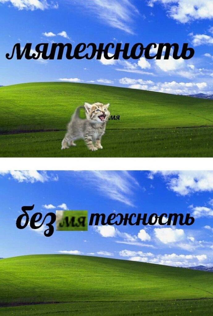 Мем от 🌸💥|цвяточный ад {ПЛМ}