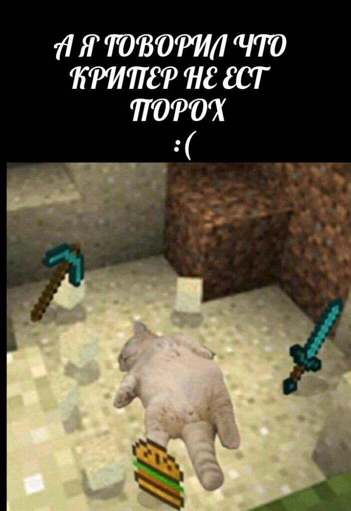 Мем от romashk