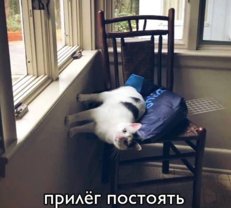 Ладно , ладно , прекращаю спамить мемами