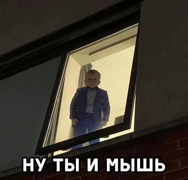 Мем без подписи
