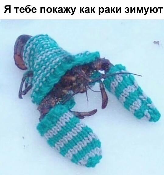 Мем без подписи