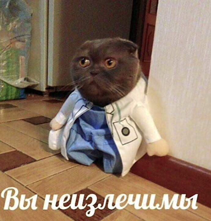 Мем от Nek_Zorien