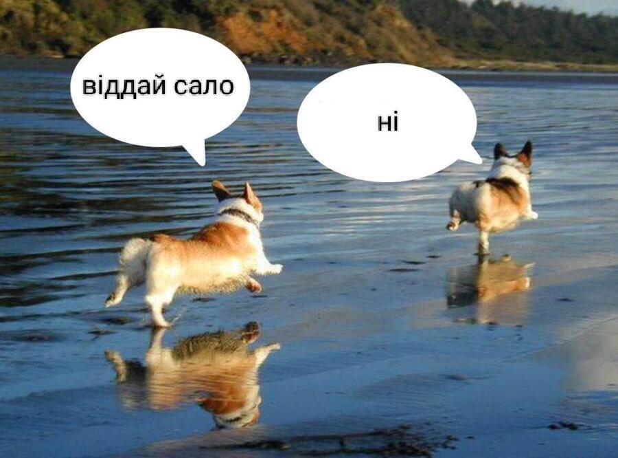 Мем от Nek_Zorien