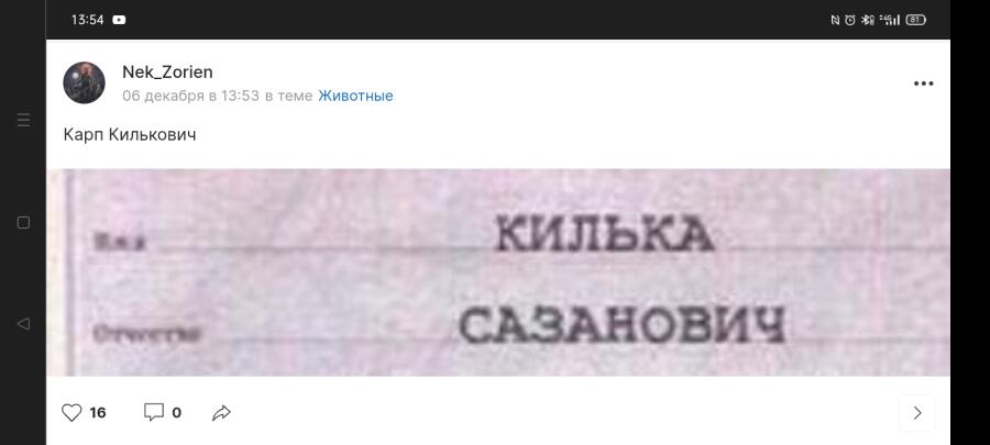 Осётр Карпович