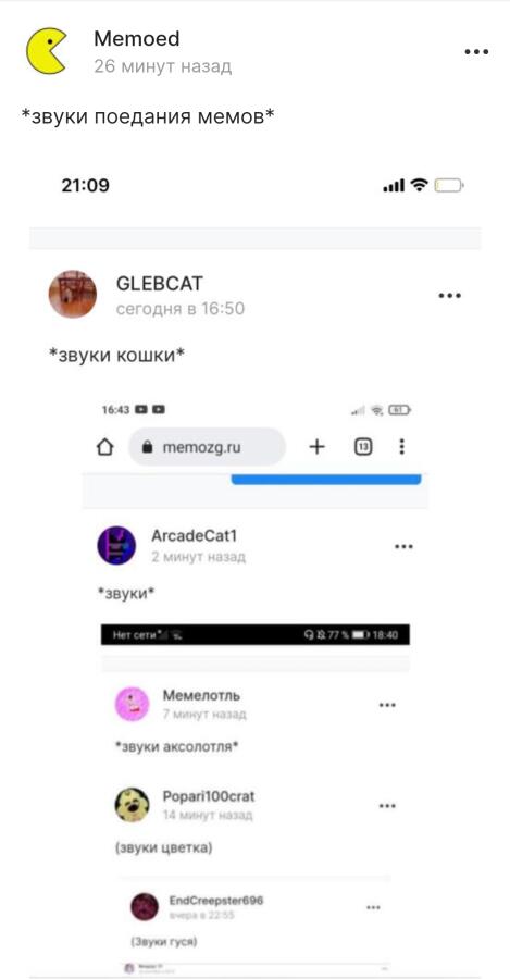 --звуки енотов--