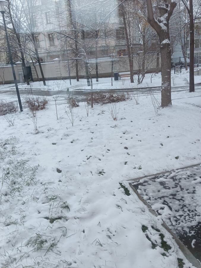 Белый снег, серый лёд...
