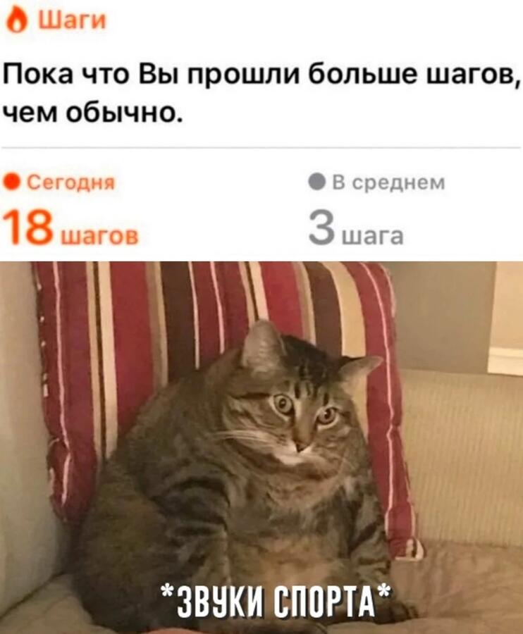 Мем от Биполярный Медведь