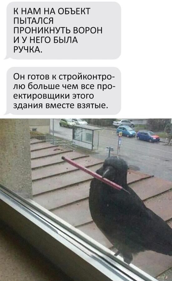 Мем от Биполярный Медведь