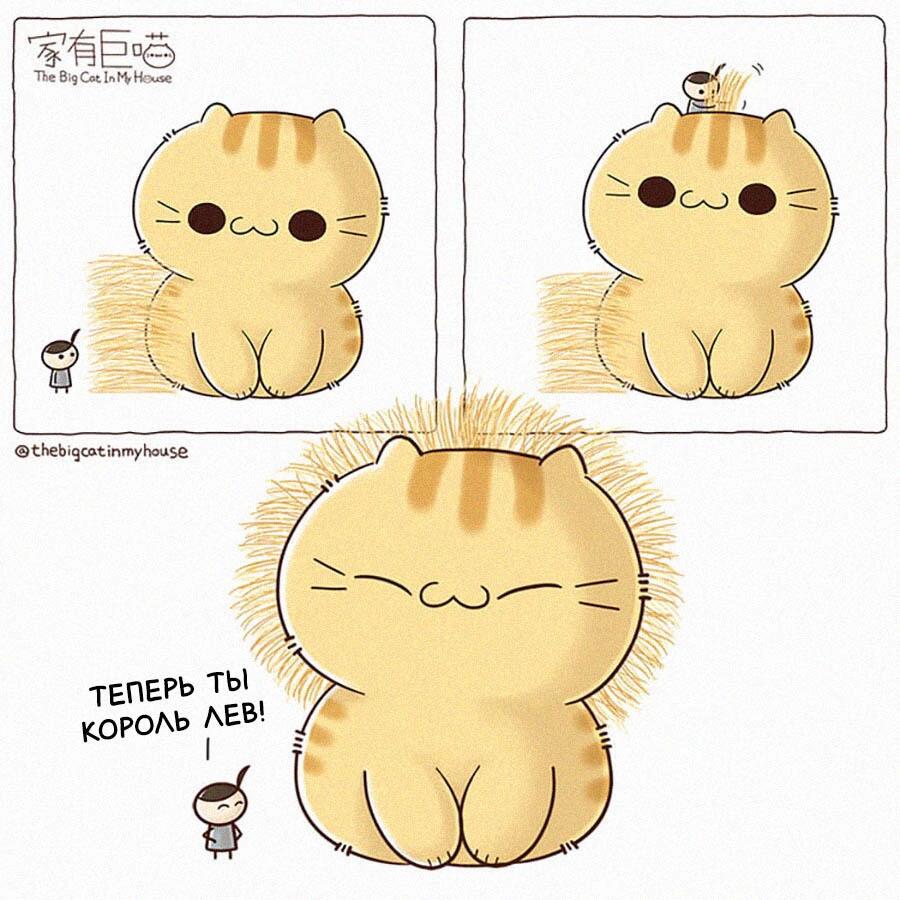 Мем без подписи