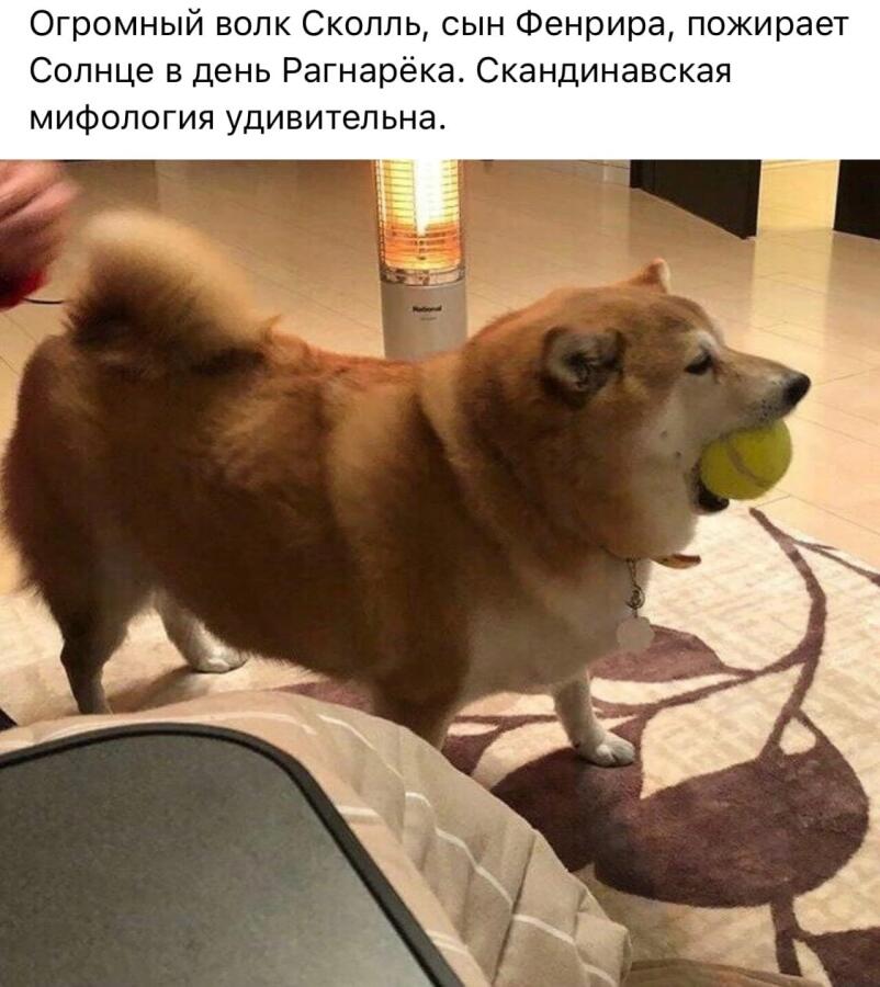 Мем без подписи