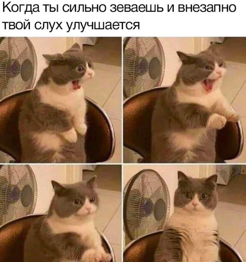 Мем без подписи