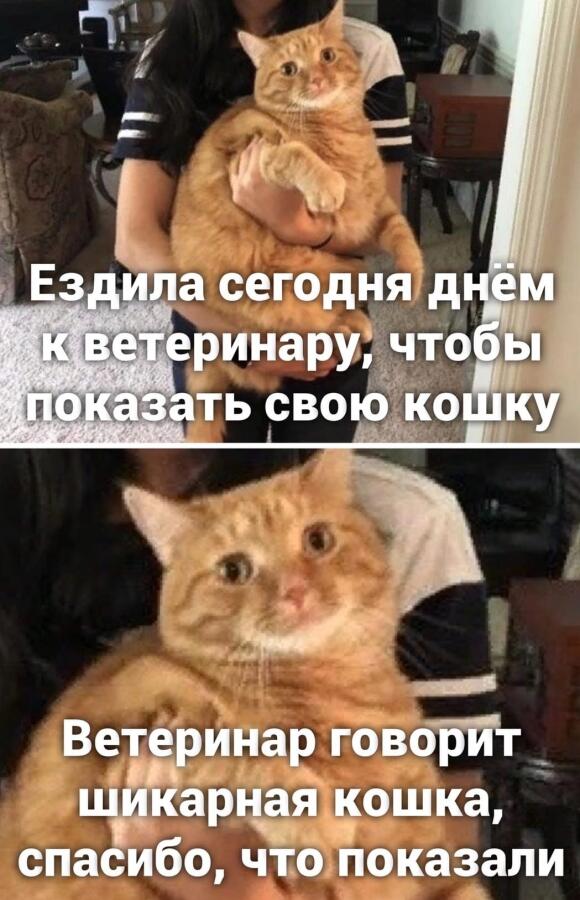 Мем без подписи