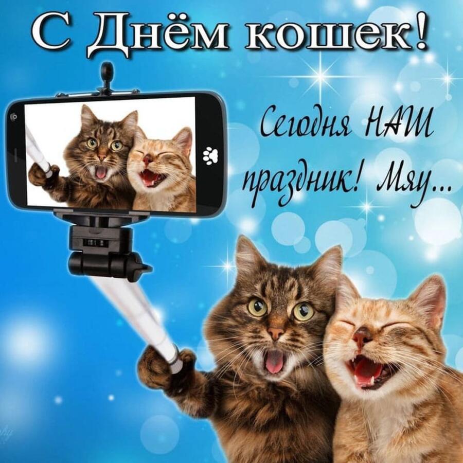 🎉🥳