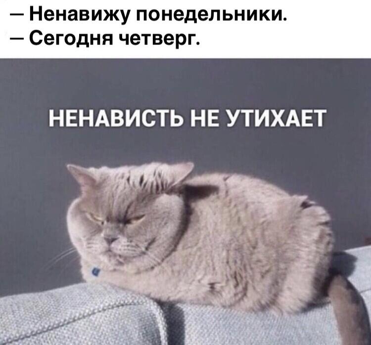 Мем без подписи