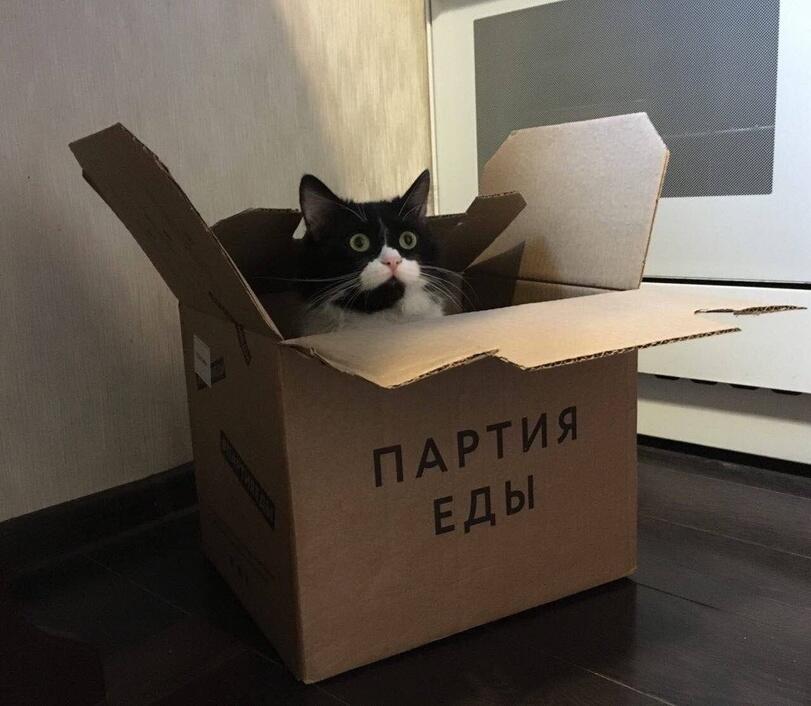 Мем от Биполярный Медведь